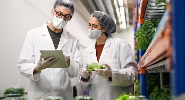 FSSAI Clarifies Testing Standards for In-Shell Nuts: Regulatory Guidance for Industry Compliance