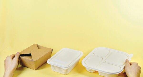 a person holding a box and two take out containers